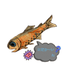 海 お魚 面白可愛いスタンプ（個別スタンプ：31）