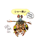 海 お魚 面白可愛いスタンプ（個別スタンプ：38）