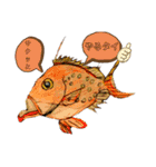 海 お魚 面白可愛いスタンプ（個別スタンプ：39）