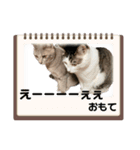 しらたまとこんにゃく②（個別スタンプ：2）