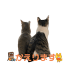 しらたまとこんにゃく②（個別スタンプ：6）