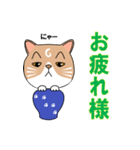 つぼねこ【#猫の日】（個別スタンプ：1）