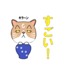 つぼねこ【#猫の日】（個別スタンプ：9）
