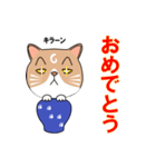 つぼねこ【#猫の日】（個別スタンプ：11）