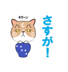 つぼねこ【#猫の日】（個別スタンプ：12）