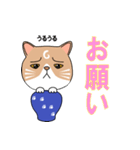 つぼねこ【#猫の日】（個別スタンプ：17）