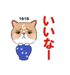 つぼねこ【#猫の日】（個別スタンプ：18）