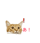 猫姉妹の日常3（個別スタンプ：15）