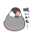 みんなのふくふく文鳥2（個別スタンプ：17）