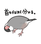 みんなのふくふく文鳥2（個別スタンプ：23）