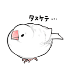 みんなのふくふく文鳥2（個別スタンプ：29）