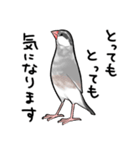 みんなのふくふく文鳥2（個別スタンプ：30）