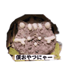 ちーずねこーずスタンプ2021～2023（個別スタンプ：38）