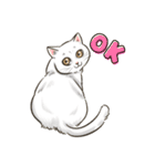 My Cat Stickers -Cats01-（個別スタンプ：1）