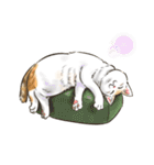 My Cat Stickers -Cats01-（個別スタンプ：11）