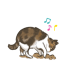 My Cat Stickers -Cats01-（個別スタンプ：12）