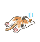 My Cat Stickers -Cats01-（個別スタンプ：15）