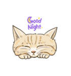 My Cat Stickers -Cats01-（個別スタンプ：16）