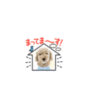 犬・猫・ハムスター可愛いstamp（個別スタンプ：10）