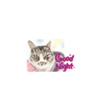 犬・猫・ハムスター可愛いstamp（個別スタンプ：18）