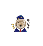 犬・猫・ハムスター可愛いstamp（個別スタンプ：36）