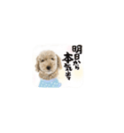 犬・猫・ハムスター可愛いstamp（個別スタンプ：38）