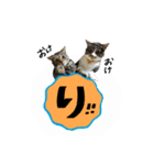 ふくよしとうるみ（個別スタンプ：1）