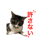 ふくよしとうるみ（個別スタンプ：13）