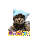 どらすたんぷ！2（個別スタンプ：15）