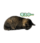 どらすたんぷ！2（個別スタンプ：29）