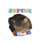 どらすたんぷ！2（個別スタンプ：38）
