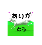 3D 動く大文字の白馬くん（個別スタンプ：9）