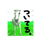 3D 動く大文字の白馬くん（個別スタンプ：10）