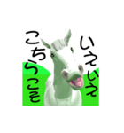 3D 動く大文字の白馬くん（個別スタンプ：20）
