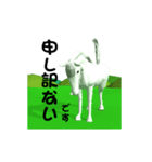 3D 動く大文字の白馬くん（個別スタンプ：24）