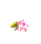 うちのブリちゃん（インコ）2（個別スタンプ：14）