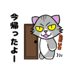 家族で使える☆ちょっと目つきの悪い猫②（個別スタンプ：3）