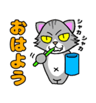 家族で使える☆ちょっと目つきの悪い猫②（個別スタンプ：35）