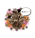 うちのあめ2（個別スタンプ：14）