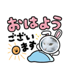 みーこ！（個別スタンプ：1）
