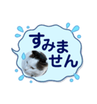 みーこ！（個別スタンプ：4）