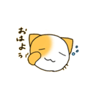 たみねこ1（個別スタンプ：1）