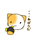 たみねこ1（個別スタンプ：10）