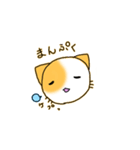 たみねこ1（個別スタンプ：14）