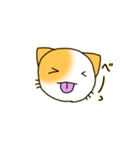 たみねこ1（個別スタンプ：16）