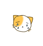 たみねこ1（個別スタンプ：17）