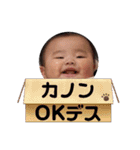 チビと孫and他（個別スタンプ：28）