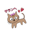 にゃんこ＆すずめ（個別スタンプ：1）