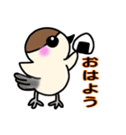 にゃんこ＆すずめ（個別スタンプ：5）