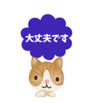 【丁寧な仕事対応】BIG☆できる猫さんver.（個別スタンプ：15）
